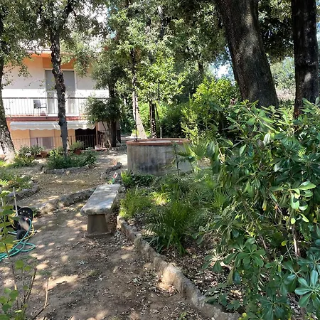 Giardino Ovest - A Pochi Passi Dal Mare San Vincenzo